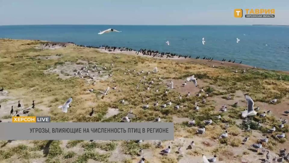 ��������� ������ ����� ����� �� ������� ������ �������� ����������� ���� � �������, ������ ������� ������