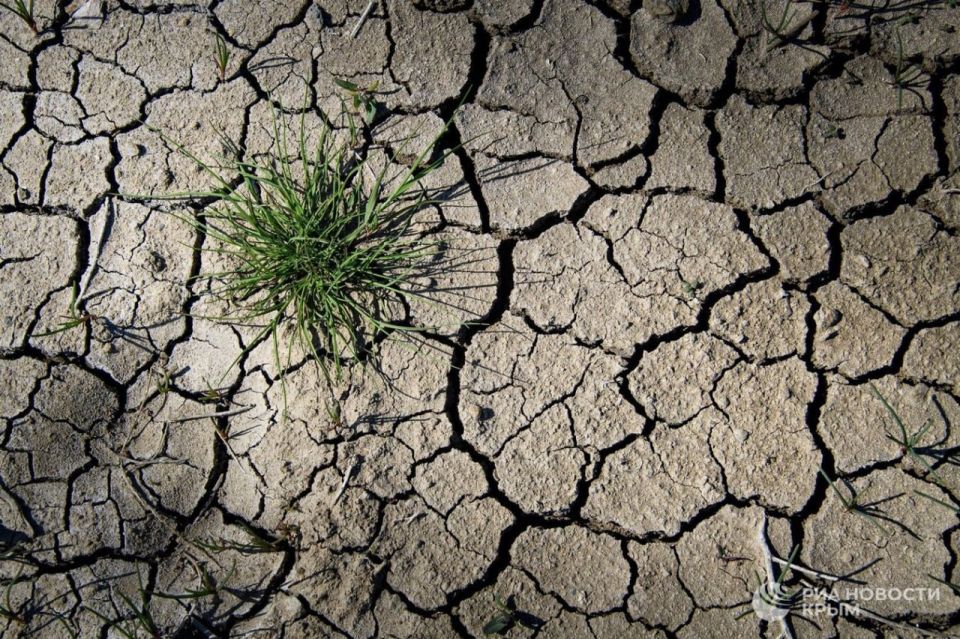 В Херсонской области ввели режим ЧС из-за засухи