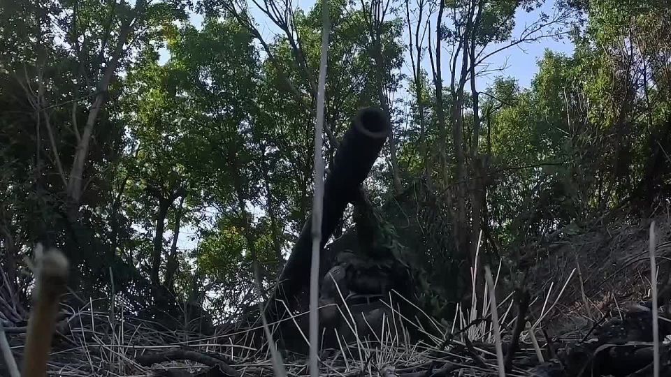 ���������� ��������� ���������� ������ ������ � ������ ���������� �������� � ���������� �������