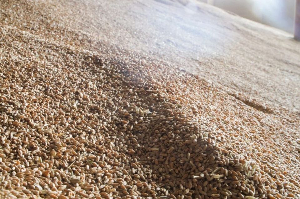 �� ��������� ������������� ������ ����������� ����������� �������� ���������������� ���������� ������� � ������ ������, ������ �������� ������