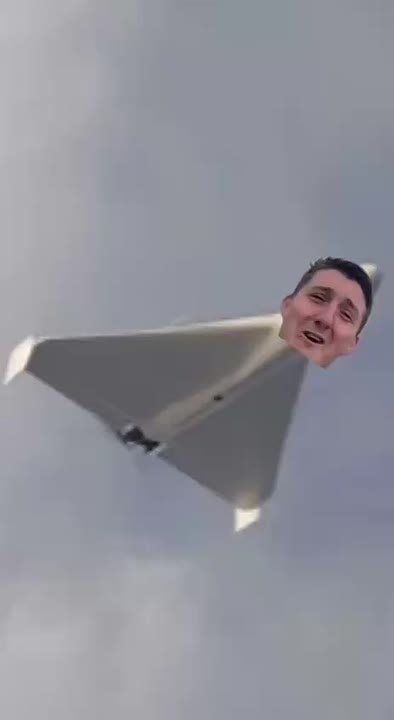 ���� ���������� ����. ���� �� �������