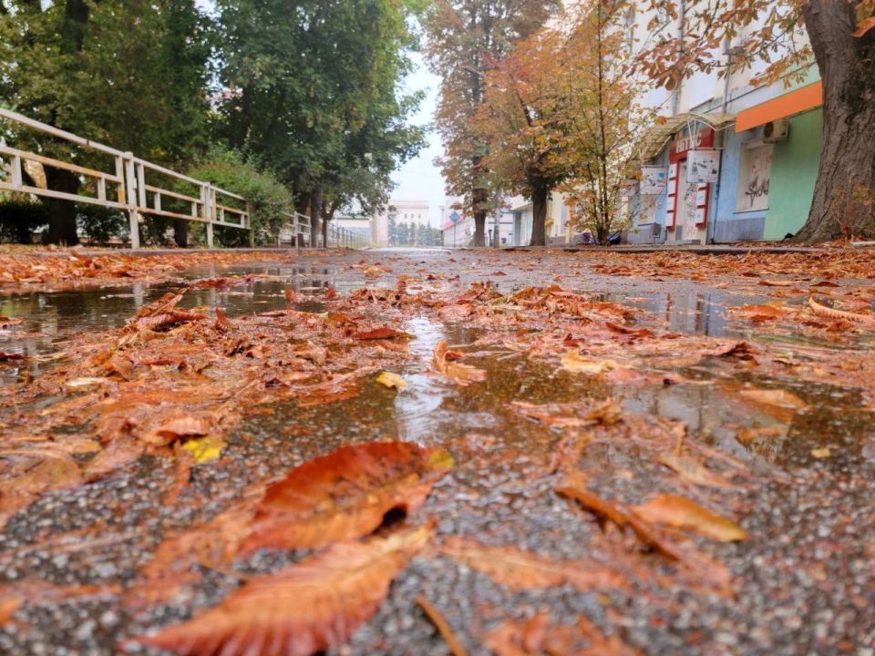 ������ ������� ������� ������� ������� ������: �����, ����� � ����� ���� ��������� ��������� ��������� ����������