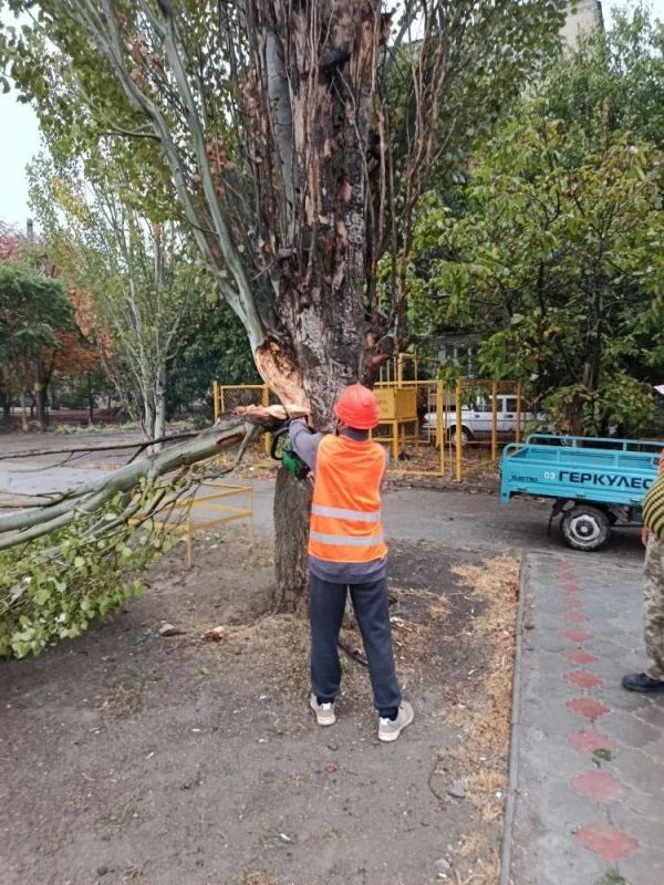 ������������ ������ ���������� ����������� ����������� ��������