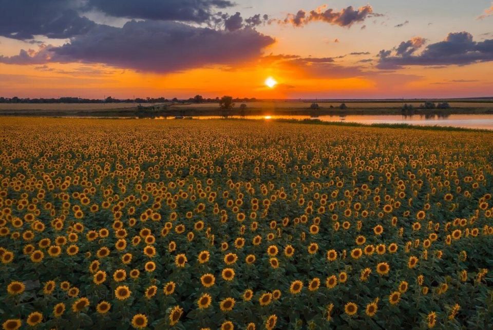 ������ �� ����� ������� , �� ��� � ������ ������� . ���� ���������� ��� ��������� , �� ���������� �� ��� �����