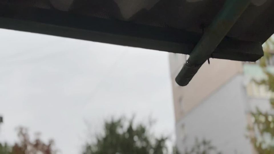 ������ ����, ������� ������ ���������� ������ ����� ����� �������!