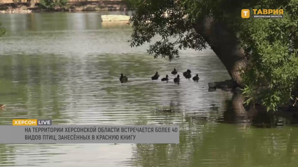 � ���������� ������� ������� 41 ��� ����, ���������� � ������� ����� ������, ��������� ������� ������