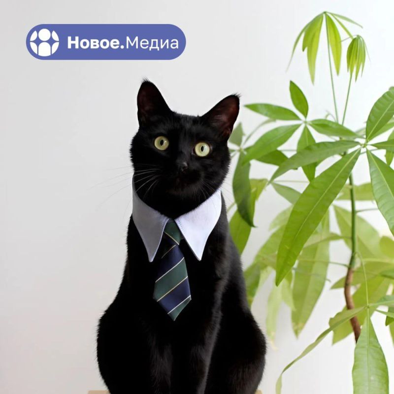 �����.����� � ���������� � �����, �� �������� ������ ����������