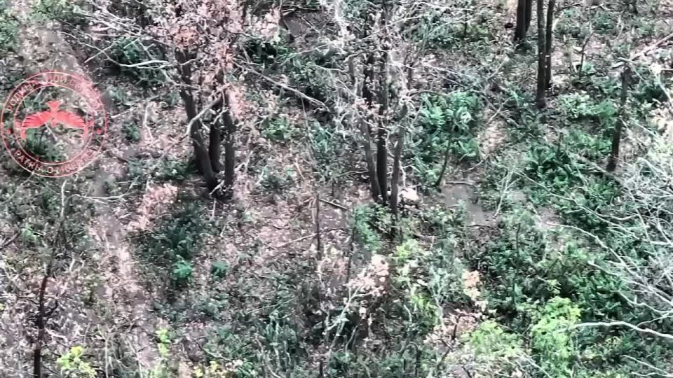 �2 ���������� �������������� ������ ����� �� ����� ������� ���������� ��������������, ������� �� ��� ���������� ��������� �����������, ����� �����, � ����� ������ FPV-������