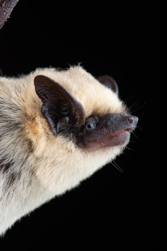 ������������ ���: ������ �� ��������� ������� ������� ����� ������� �����, ������ ����������� �� ���������