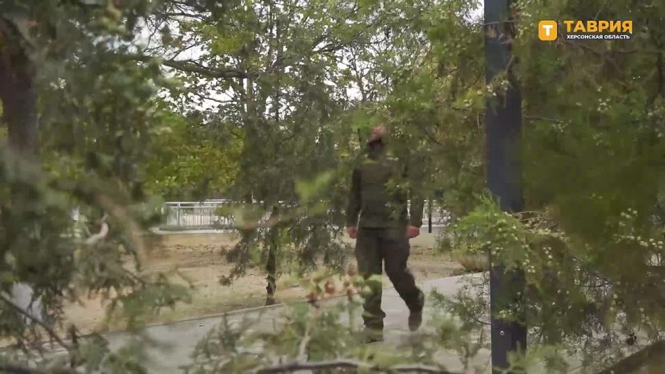 "��� ��������� � �������� � ��������� ������": �������� ������� "����� ����������" ���������, ������ ����� ����� ������������ �� ���