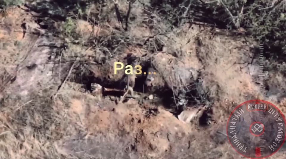 13-� ��������� ���������� ������ ���������� �� ��������� � ��������������