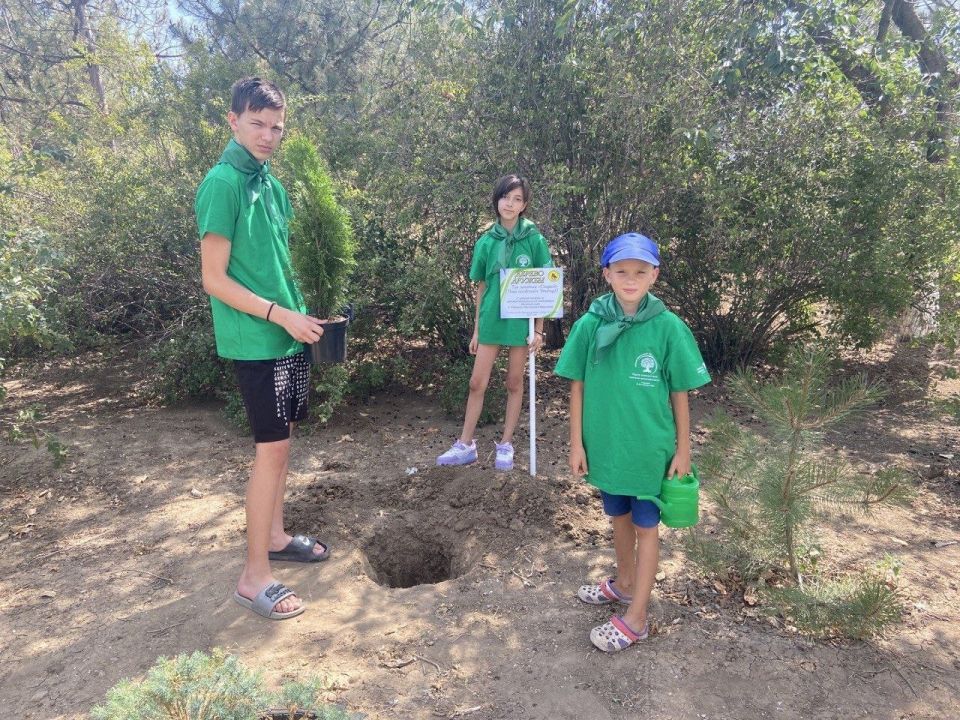 В Вадимской школе посадили дерево дружбы в рамках экологического проекта