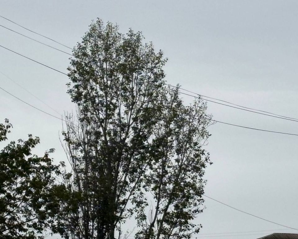 ������ ��������� ����, ������� �������������!