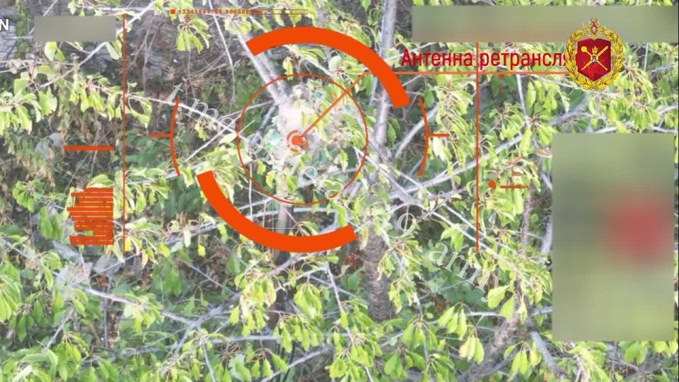 � ���������� ���������� ���� ���������� ������ ������������� ��� ���������������� ������ ���������� �����