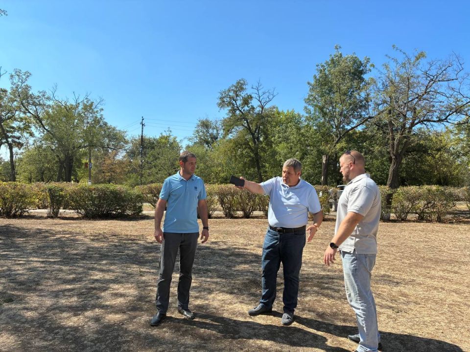 ������ ����� � ��������: ���������� ������ ��������� ������� � ������� �������������