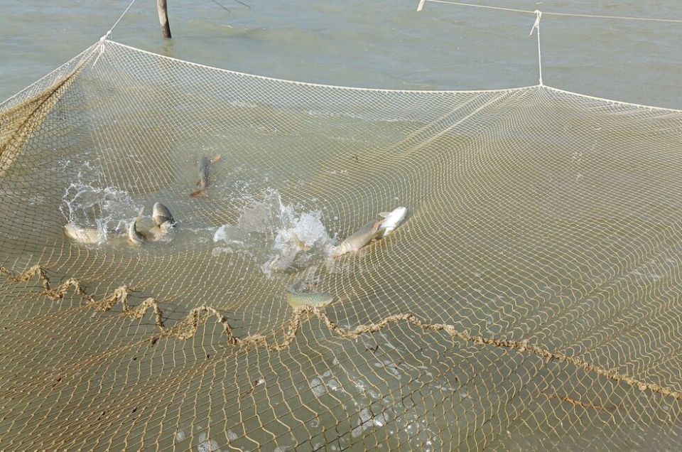 ������ ���������� ����� ������ ������ ��������� � �������� ����