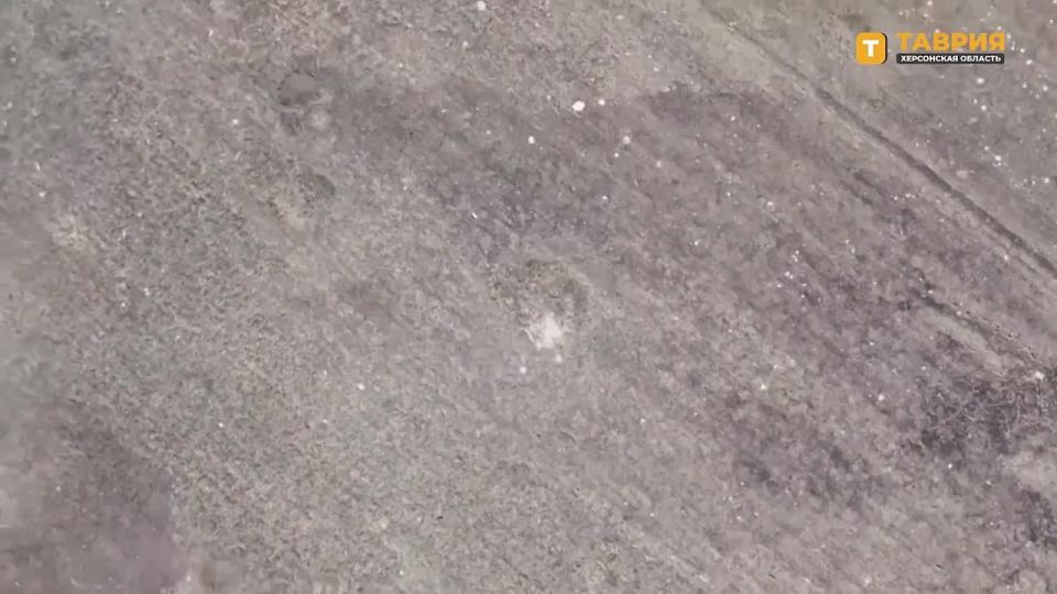 � ���������� ������ �������� ����� ������� � ������ ����� �� ����� ���