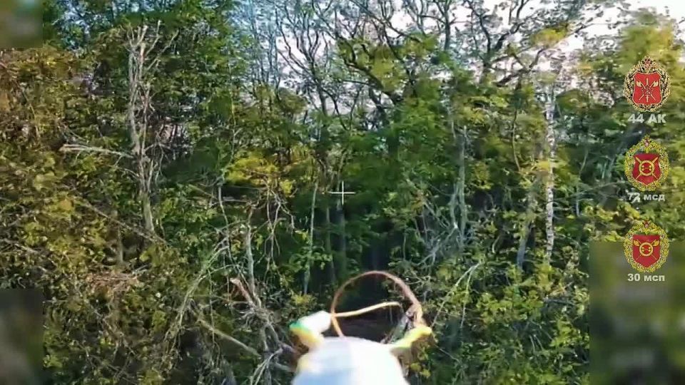 ��� � �� ������. ������� �������