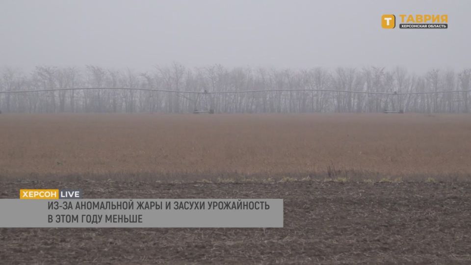 ����� ���� ��������, ������������ � ��������� ������� � ���������� ������� ������ 1 ��� 386 ����� ����, ������� ������ ����������