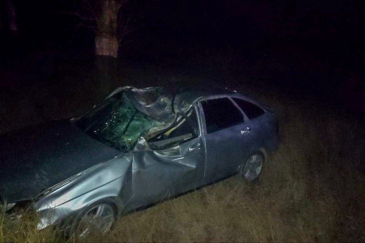 � ����������� ������ �������� �� �������� �������� � ������