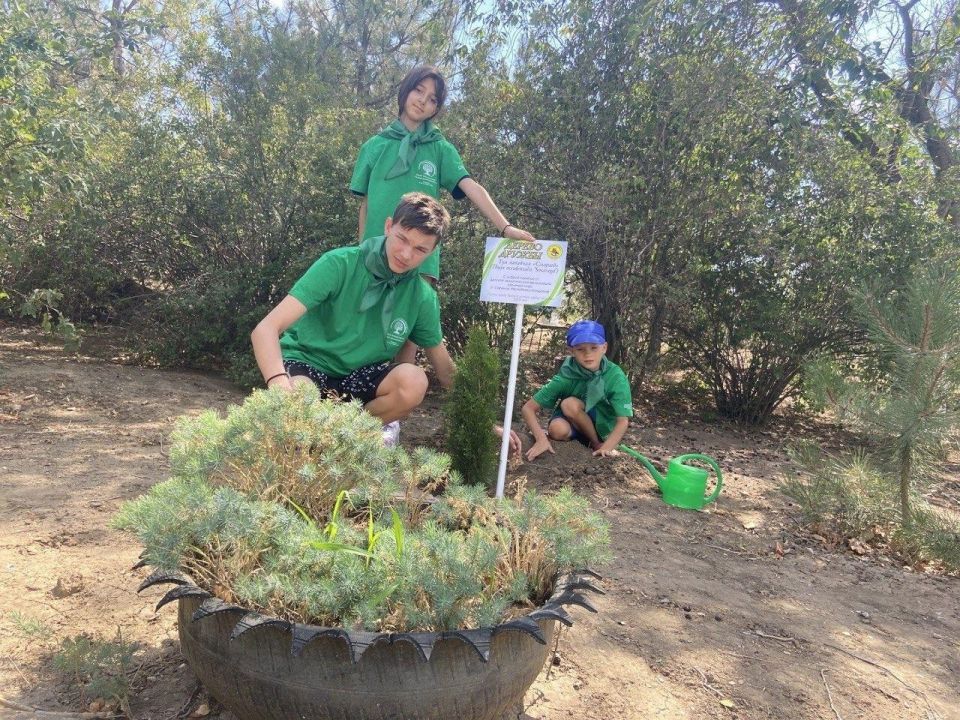 В Вадимской школе посадили дерево дружбы в рамках экологического проекта