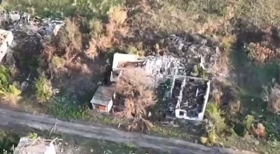 �� ������ ���� ����� ���������� ���� �� ����������