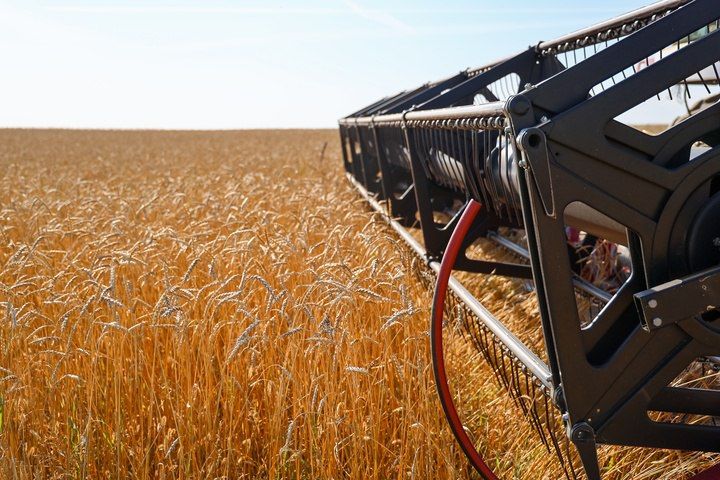 ���������� ����������� ��������������� ��������� 2,3 �������� ������ �� ��������