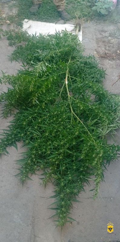 � ���������� ������� ���������� ������� ������ � ����������� ����� ������� � ������������ ��������