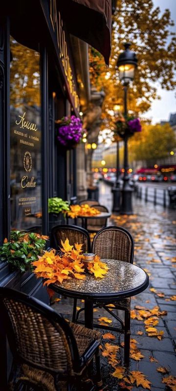 �������, ������� ���� �������� � ����������