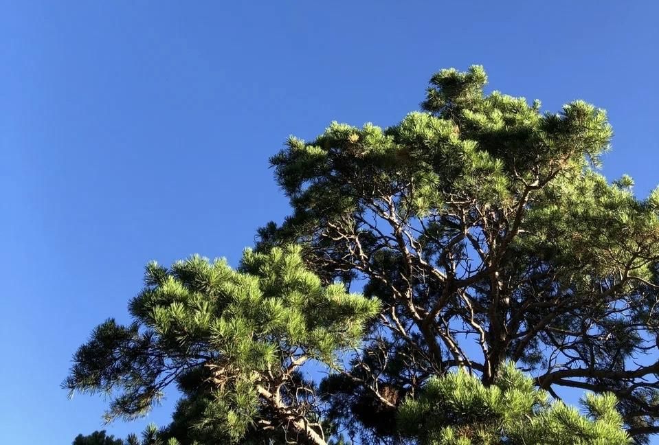 ����������� ������������� �� �������� ����� � ���������� ������� 13 ��������