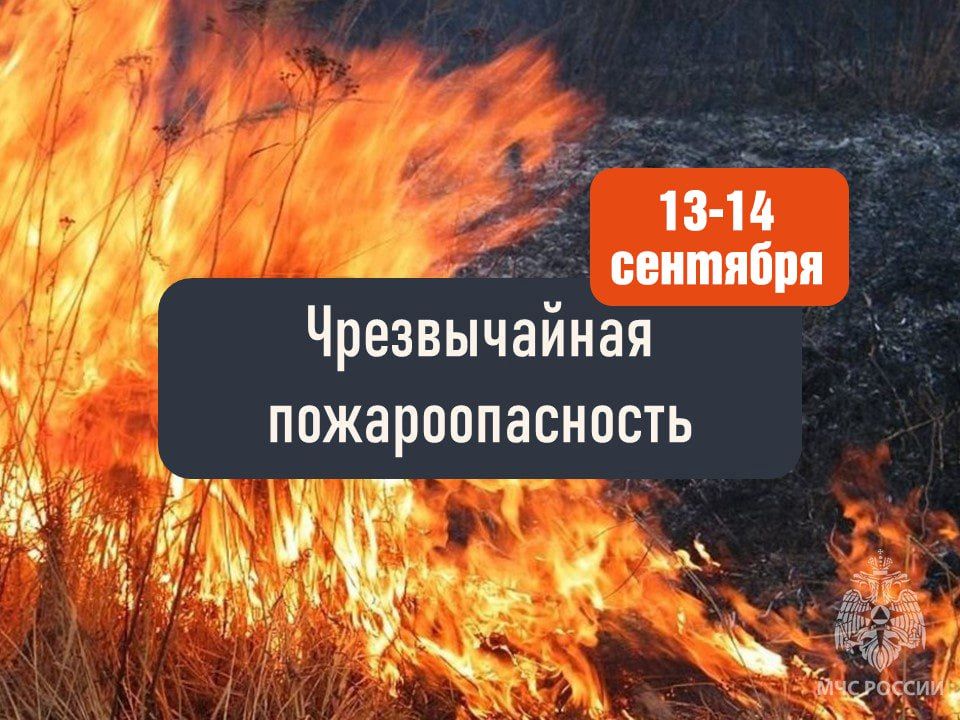 ������������ ���������������