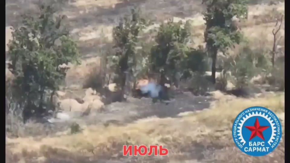 ���� �� �������: ��� � ������ ��� ����. ����� ������