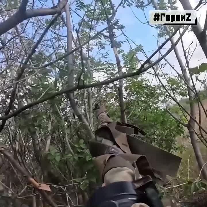 ���� ��� ��� ������������ ������