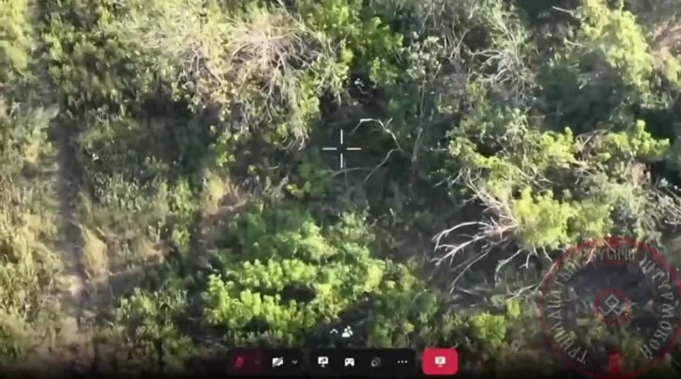 ��������������.. ��� �� ����������