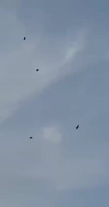 ������ ����, ������ ���������� ������ ����� �������!