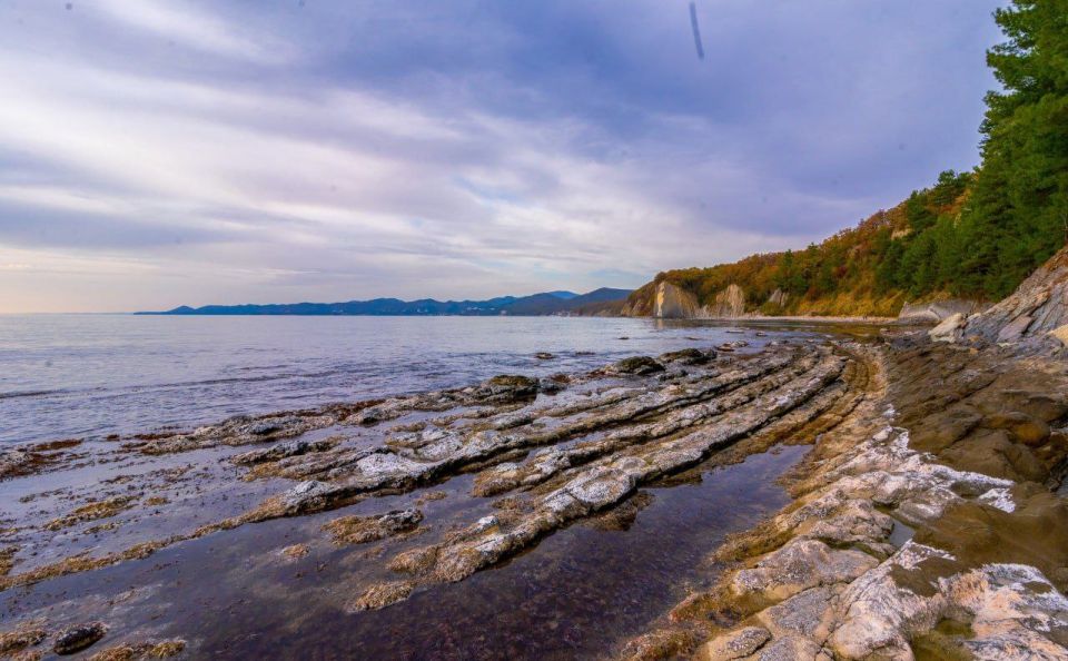 ��� ���� ����� �������� , �����