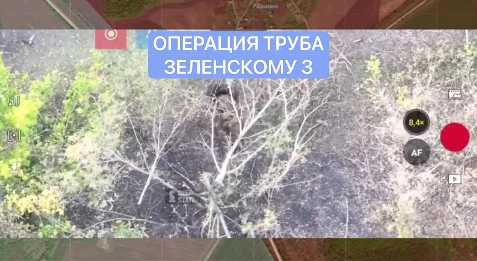 �������� ����� 3. �������� ����������