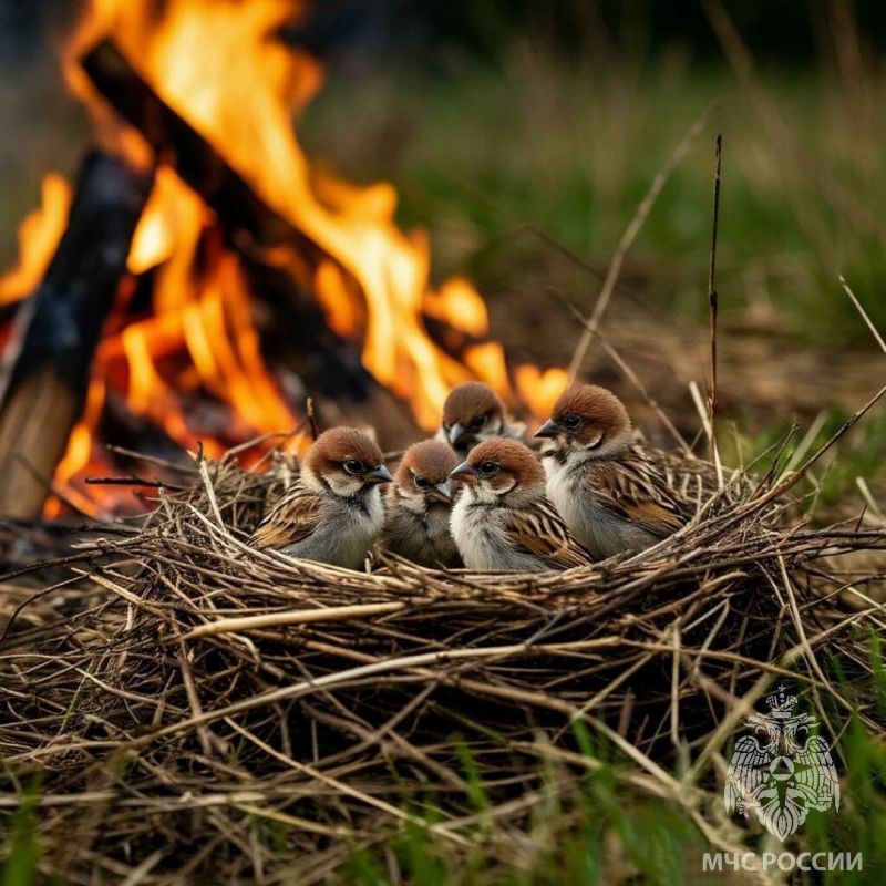 ����� 700 ����������� ������� ��������� �� ���������� ���������� ������� � ������ ����