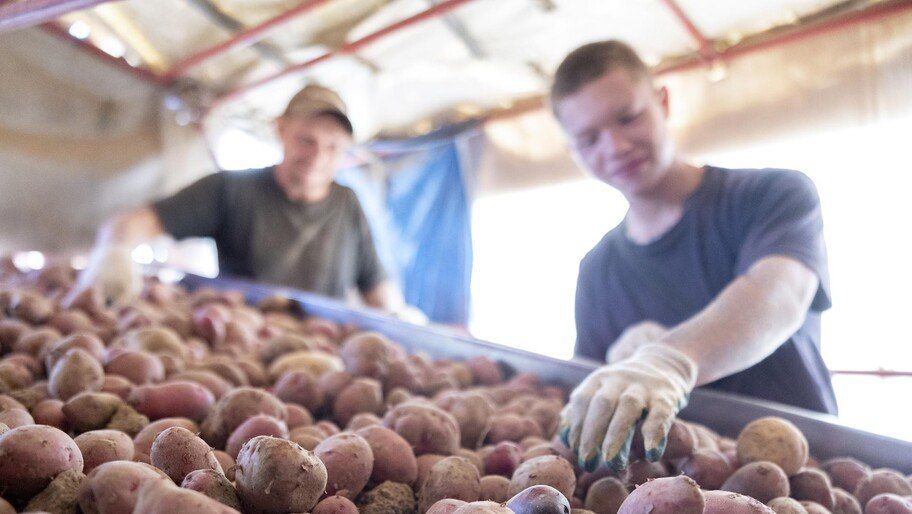 Глава Чаплинского округа рассказала о нехватке кадров