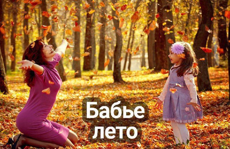 ������� 14 �������� � ���������� 16 ����������