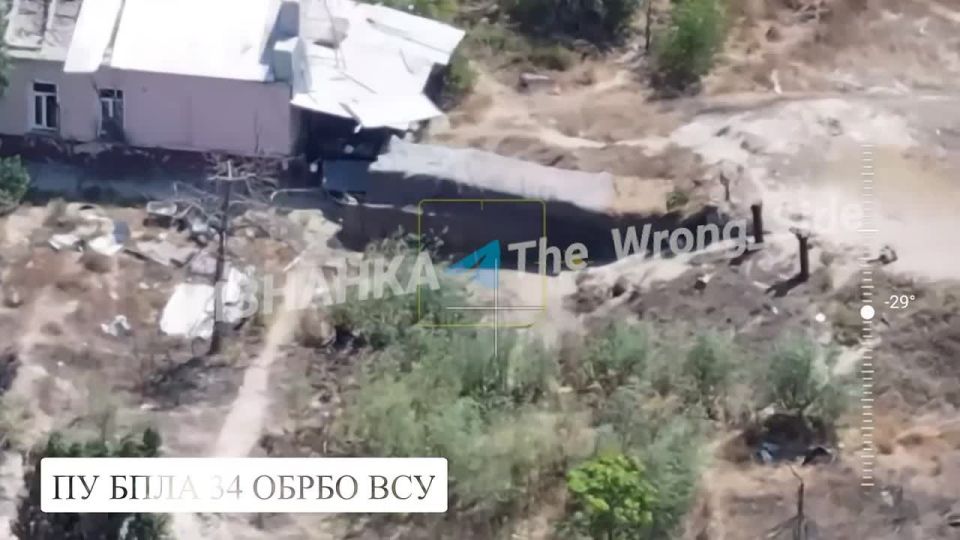 �� �� ���������� ���������� �� ���� ���