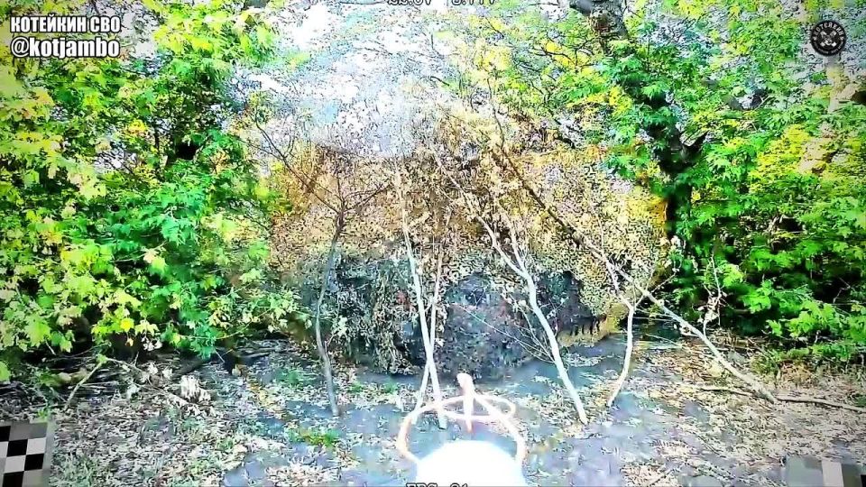 ��������� ������ 144-� ������� �� ��������������� ����������� � ���� ���������� ����� ���������� ������� ����������