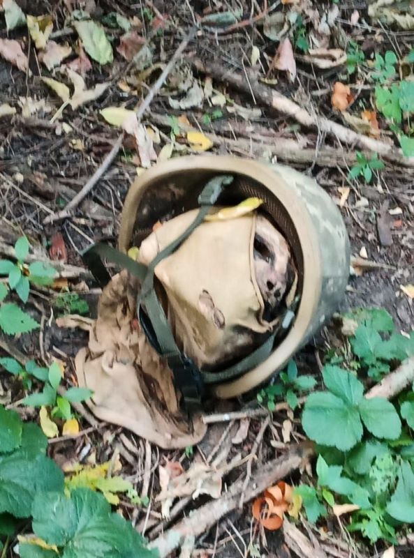 ���������������� �����. ��������-����� ���������� �������