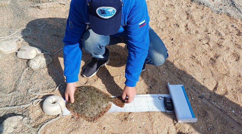 �������-������ ���������: � �������� ���� ���� ������ ���� ����� � 72 ����