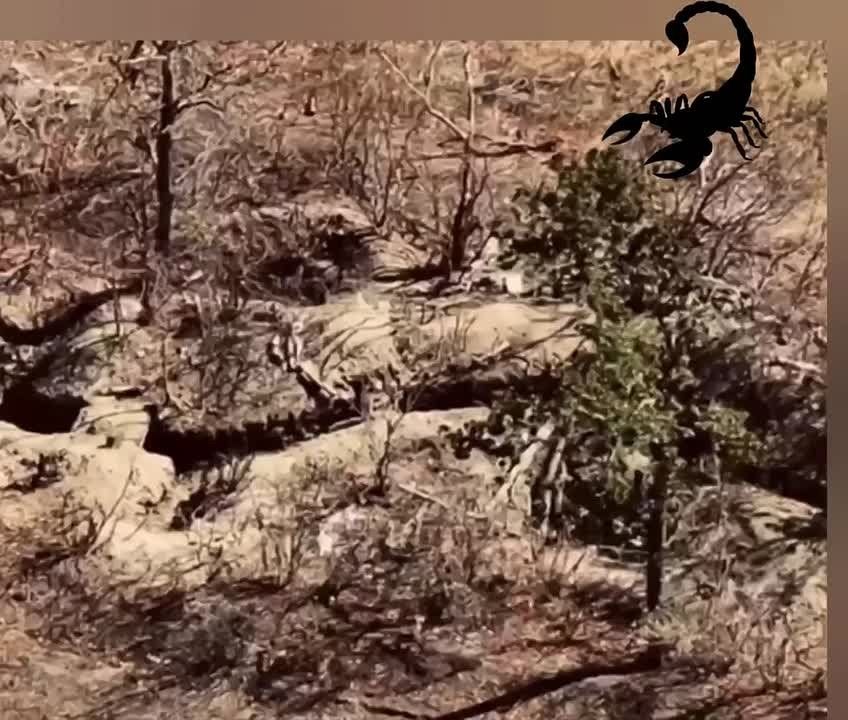 ��������� �������������. ���� ����� ���������!