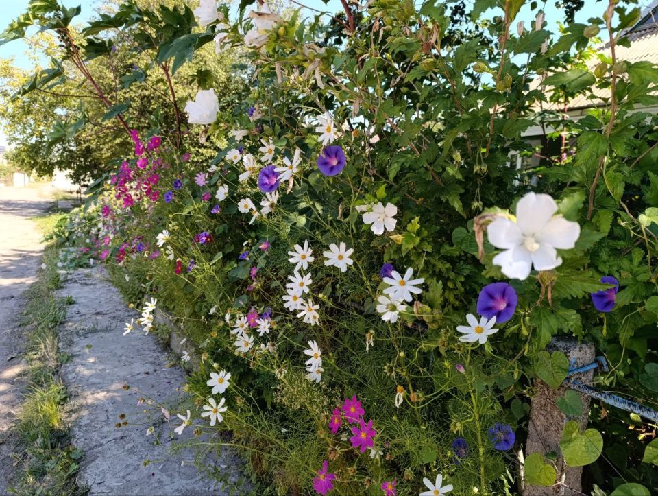 ������ ����, ������ ���������� �������������� ������!