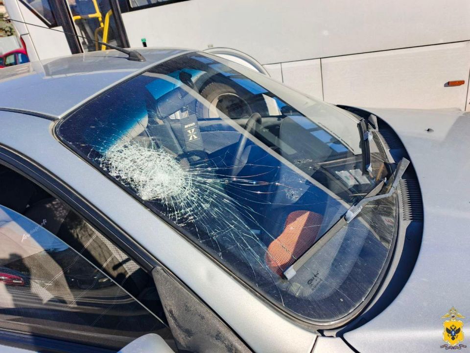 � ��������� 51-������ �������� "��� �����" ���� 18-������ ������� �� �������������� ���������� ��������