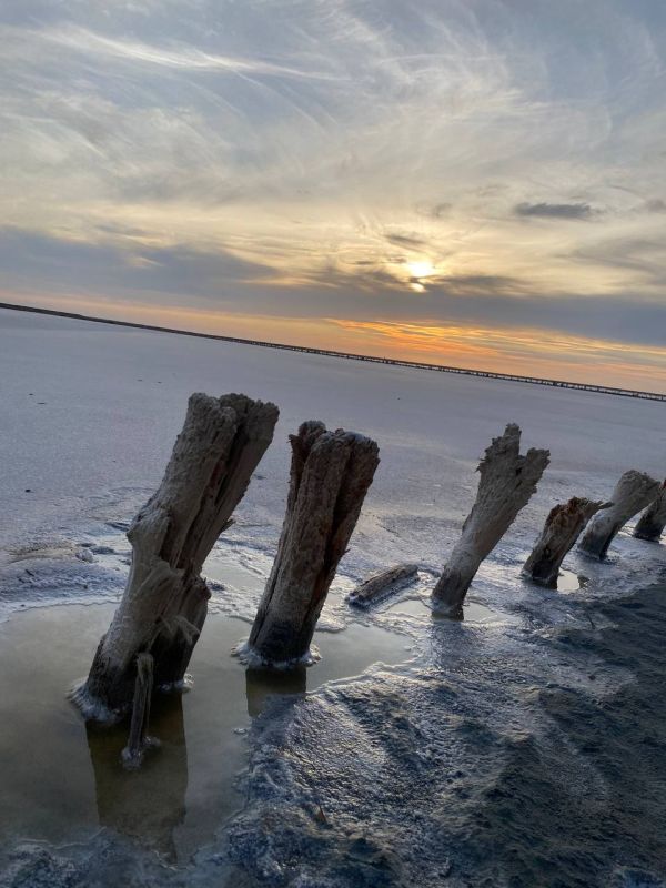 � ����� ��������� � ��� ����� ������ �� ������� �����