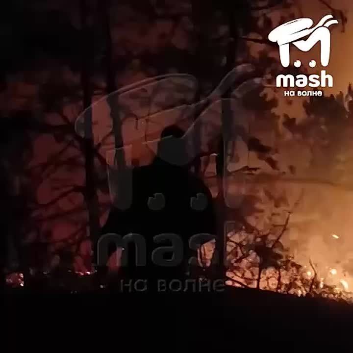 ����������� ����� ��� ���������� ������������ � ���� �� ������� 35 ��