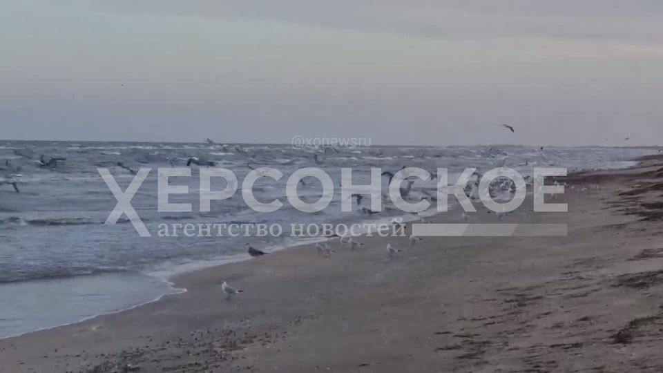 ����� ����� �� ���������� �������